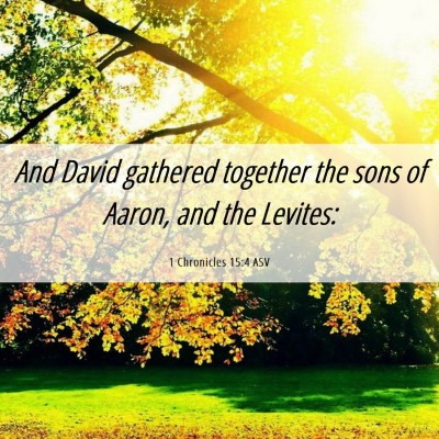 Picture 06 - 1 Chronicles 15:4 ASV - And David gathered together the sons of Aaron, - Bible Verse Picture