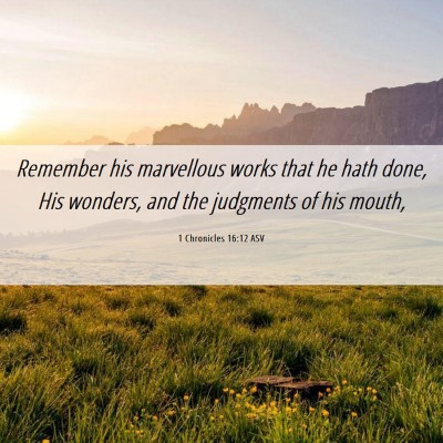 Picture 06 - 1 Chronicles 16:12 ASV - Remember his marvellous works that he hath done, - Bible Verse Picture