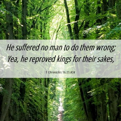 Picture 06 - 1 Chronicles 16:21 ASV - He suffered no man to do them wrong; Yea, he - Bible Verse Picture
