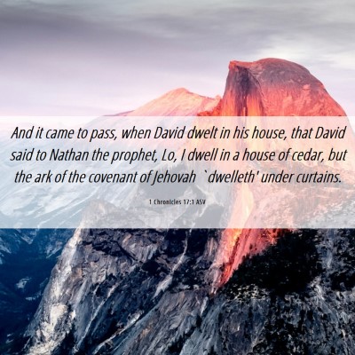 Picture 06 - 1 Chronicles 17:1 ASV - And it came to pass, when David dwelt in his - Bible Verse Picture