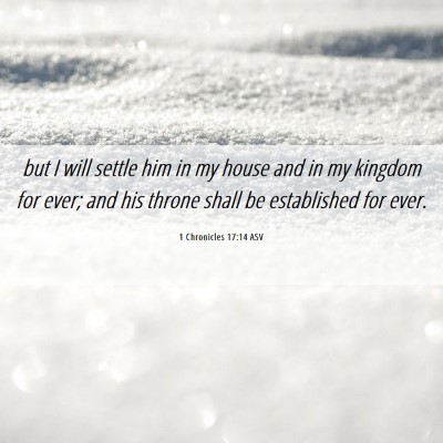 Picture 06 - 1 Chronicles 17:14 ASV - but I will settle him in my house and in my - Bible Verse Picture