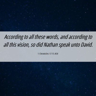 Picture 06 - 1 Chronicles 17:15 ASV - According to all these words, and according to - Bible Verse Picture