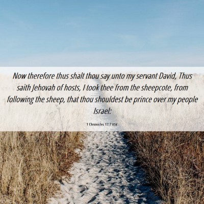 Picture 06 - 1 Chronicles 17:7 ASV - Now therefore thus shalt thou say unto my servant - Bible Verse Picture
