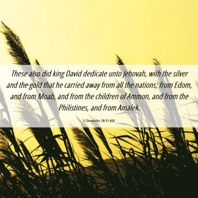 Picture 06 - 1 Chronicles 18:11 ASV - These also did king David dedicate unto Jehovah, - Bible Verse Picture