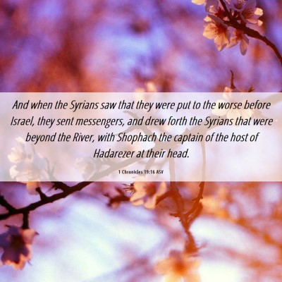 Picture 06 - 1 Chronicles 19:16 ASV - And when the Syrians saw that they were put to - Bible Verse Picture
