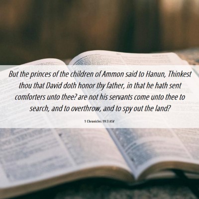 Picture 06 - 1 Chronicles 19:3 ASV - But the princes of the children of Ammon said to - Bible Verse Picture