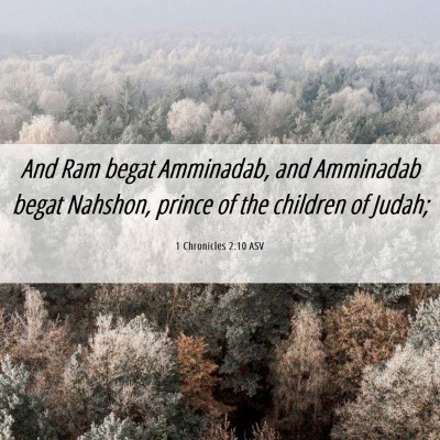 Picture 06 - 1 Chronicles 2:10 ASV - And Ram begat Amminadab, and Amminadab begat - Bible Verse Picture