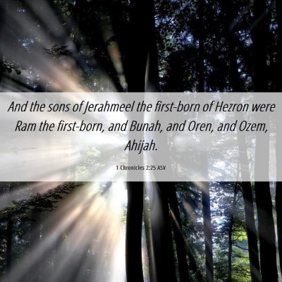 Picture 06 - 1 Chronicles 2:25 ASV - And the sons of Jerahmeel the first-born of - Bible Verse Picture