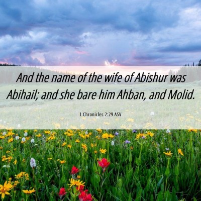 Picture 06 - 1 Chronicles 2:29 ASV - And the name of the wife of Abishur was Abihail; - Bible Verse Picture