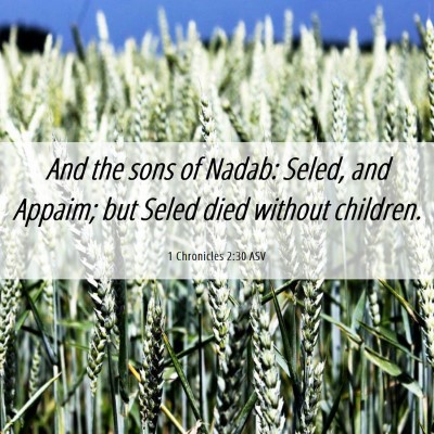 Picture 06 - 1 Chronicles 2:30 ASV - And the sons of Nadab: Seled, and Appaim; but - Bible Verse Picture