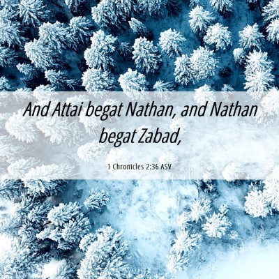 Picture 06 - 1 Chronicles 2:36 ASV - And Attai begat Nathan, and Nathan begat - Bible Verse Picture