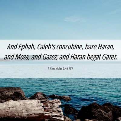 Picture 06 - 1 Chronicles 2:46 ASV - And Ephah, Caleb's concubine, bare Haran, and - Bible Verse Picture