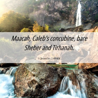 Picture 06 - 1 Chronicles 2:48 ASV - Maacah, Caleb's concubine, bare Sheber and - Bible Verse Picture