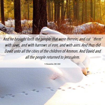 Picture 06 - 1 Chronicles 20:3 ASV - And he brought forth the people that were - Bible Verse Picture