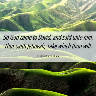 Picture 06 - 1 Chronicles 21:11 ASV - So Gad came to David, and said unto him, Thus - Bible Verse Picture