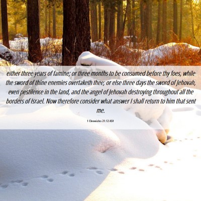 Picture 06 - 1 Chronicles 21:12 ASV - either three years of famine; or three months to - Bible Verse Picture