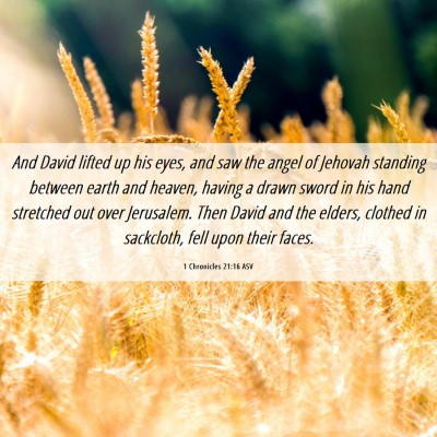 Picture 06 - 1 Chronicles 21:16 ASV - And David lifted up his eyes, and saw the angel - Bible Verse Picture