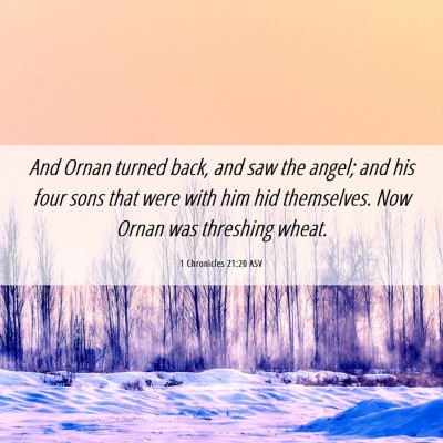 Picture 06 - 1 Chronicles 21:20 ASV - And Ornan turned back, and saw the angel; and his - Bible Verse Picture