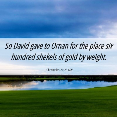 Picture 06 - 1 Chronicles 21:25 ASV - So David gave to Ornan for the place six hundred - Bible Verse Picture