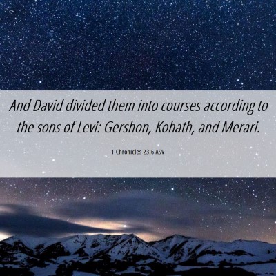 Picture 06 - 1 Chronicles 23:6 ASV - And David divided them into courses according to - Bible Verse Picture