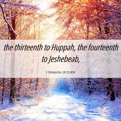 Picture 06 - 1 Chronicles 24:13 ASV - the thirteenth to Huppah, the fourteenth to - Bible Verse Picture