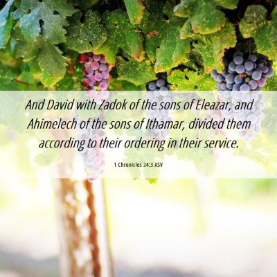 Picture 06 - 1 Chronicles 24:3 ASV - And David with Zadok of the sons of Eleazar, and - Bible Verse Picture