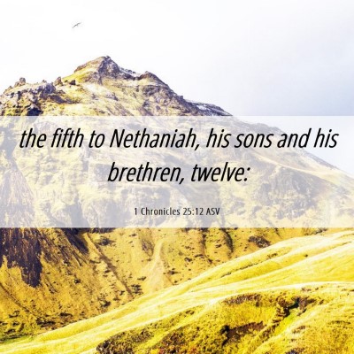 Picture 06 - 1 Chronicles 25:12 ASV - the fifth to Nethaniah, his sons and his - Bible Verse Picture