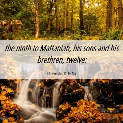 Picture 06 - 1 Chronicles 25:16 ASV - the ninth to Mattaniah, his sons and his - Bible Verse Picture