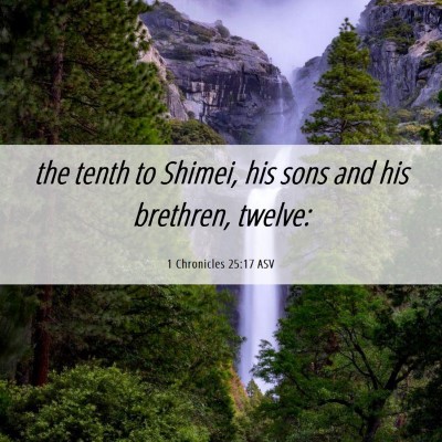 Picture 06 - 1 Chronicles 25:17 ASV - the tenth to Shimei, his sons and his brethren, - Bible Verse Picture