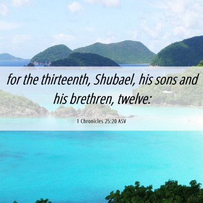 Picture 06 - 1 Chronicles 25:20 ASV - for the thirteenth, Shubael, his sons and his - Bible Verse Picture