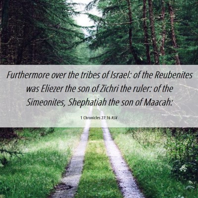 Picture 06 - 1 Chronicles 27:16 ASV - Furthermore over the tribes of Israel: of the - Bible Verse Picture