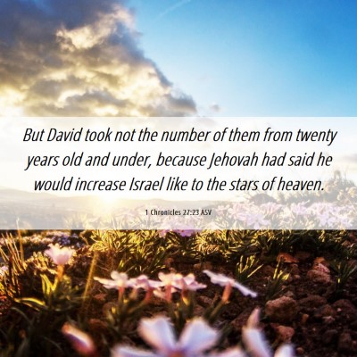 Picture 06 - 1 Chronicles 27:23 ASV - But David took not the number of them from twenty - Bible Verse Picture