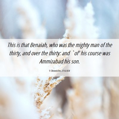 Picture 06 - 1 Chronicles 27:6 ASV - This is that Benaiah, who was the mighty man of - Bible Verse Picture