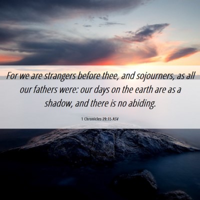 Picture 06 - 1 Chronicles 29:15 ASV - For we are strangers before thee, and sojourners, - Bible Verse Picture