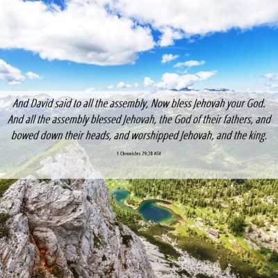 Picture 06 - 1 Chronicles 29:20 ASV - And David said to all the assembly, Now bless - Bible Verse Picture