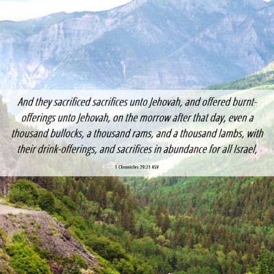 Picture 06 - 1 Chronicles 29:21 ASV - And they sacrificed sacrifices unto Jehovah, and - Bible Verse Picture