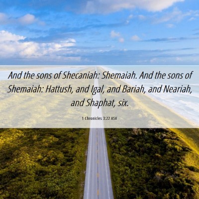 Picture 06 - 1 Chronicles 3:22 ASV - And the sons of Shecaniah: Shemaiah. And the sons - Bible Verse Picture