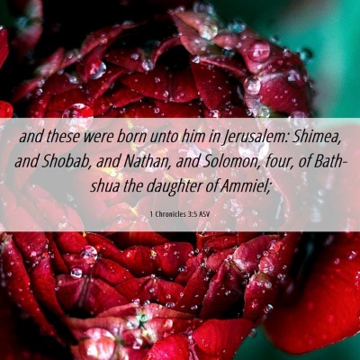 Picture 06 - 1 Chronicles 3:5 ASV - and these were born unto him in Jerusalem: - Bible Verse Picture