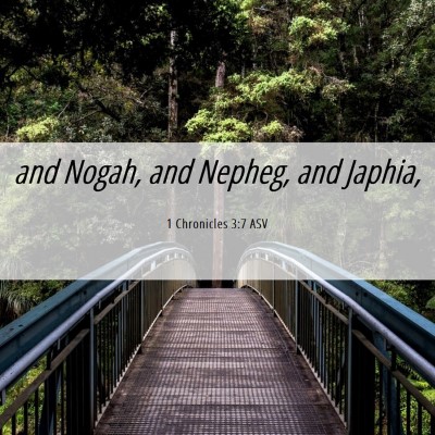 Picture 06 - 1 Chronicles 3:7 ASV - and Nogah, and Nepheg, and - Bible Verse Picture