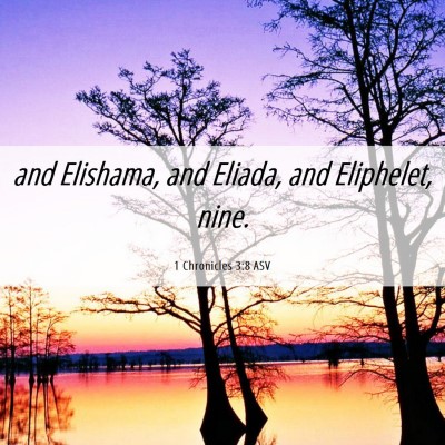 Picture 06 - 1 Chronicles 3:8 ASV - and Elishama, and Eliada, and Eliphelet, - Bible Verse Picture