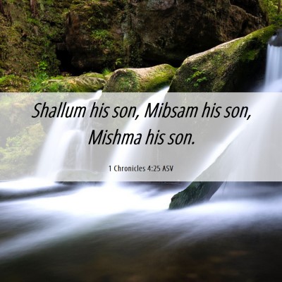 Picture 06 - 1 Chronicles 4:25 ASV - Shallum his son, Mibsam his son, Mishma his - Bible Verse Picture