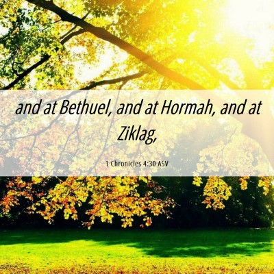 Picture 06 - 1 Chronicles 4:30 ASV - and at Bethuel, and at Hormah, and at - Bible Verse Picture