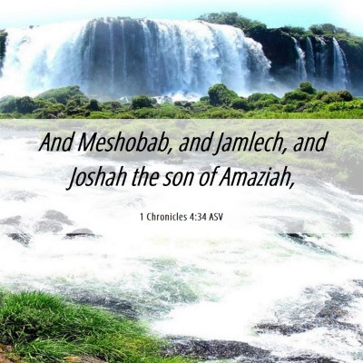 Picture 06 - 1 Chronicles 4:34 ASV - And Meshobab, and Jamlech, and Joshah the son of - Bible Verse Picture