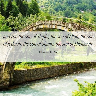 Picture 06 - 1 Chronicles 4:37 ASV - and Ziza the son of Shiphi, the son of Allon, the - Bible Verse Picture