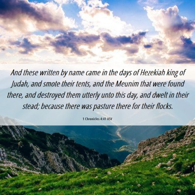 Picture 06 - 1 Chronicles 4:41 ASV - And these written by name came in the days of - Bible Verse Picture