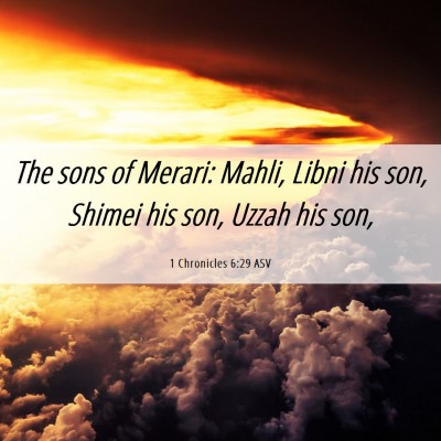 Picture 06 - 1 Chronicles 6:29 ASV - The sons of Merari: Mahli, Libni his son, Shimei - Bible Verse Picture