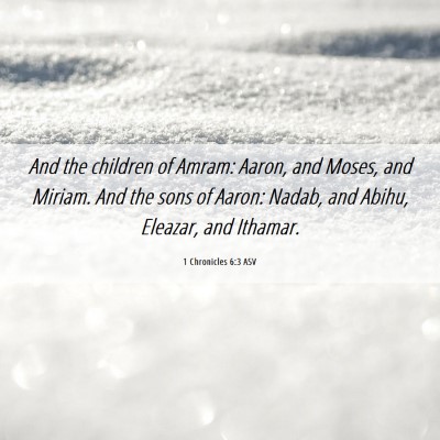 Picture 06 - 1 Chronicles 6:3 ASV - And the children of Amram: Aaron, and Moses, and - Bible Verse Picture