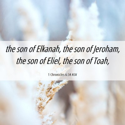 Picture 06 - 1 Chronicles 6:34 ASV - the son of Elkanah, the son of Jeroham, the son - Bible Verse Picture