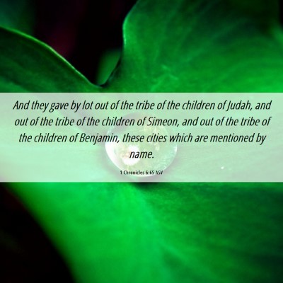 Picture 06 - 1 Chronicles 6:65 ASV - And they gave by lot out of the tribe of the - Bible Verse Picture