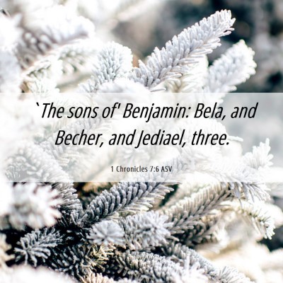 Picture 06 - 1 Chronicles 7:6 ASV - `The sons of' Benjamin: Bela, and Becher, and - Bible Verse Picture